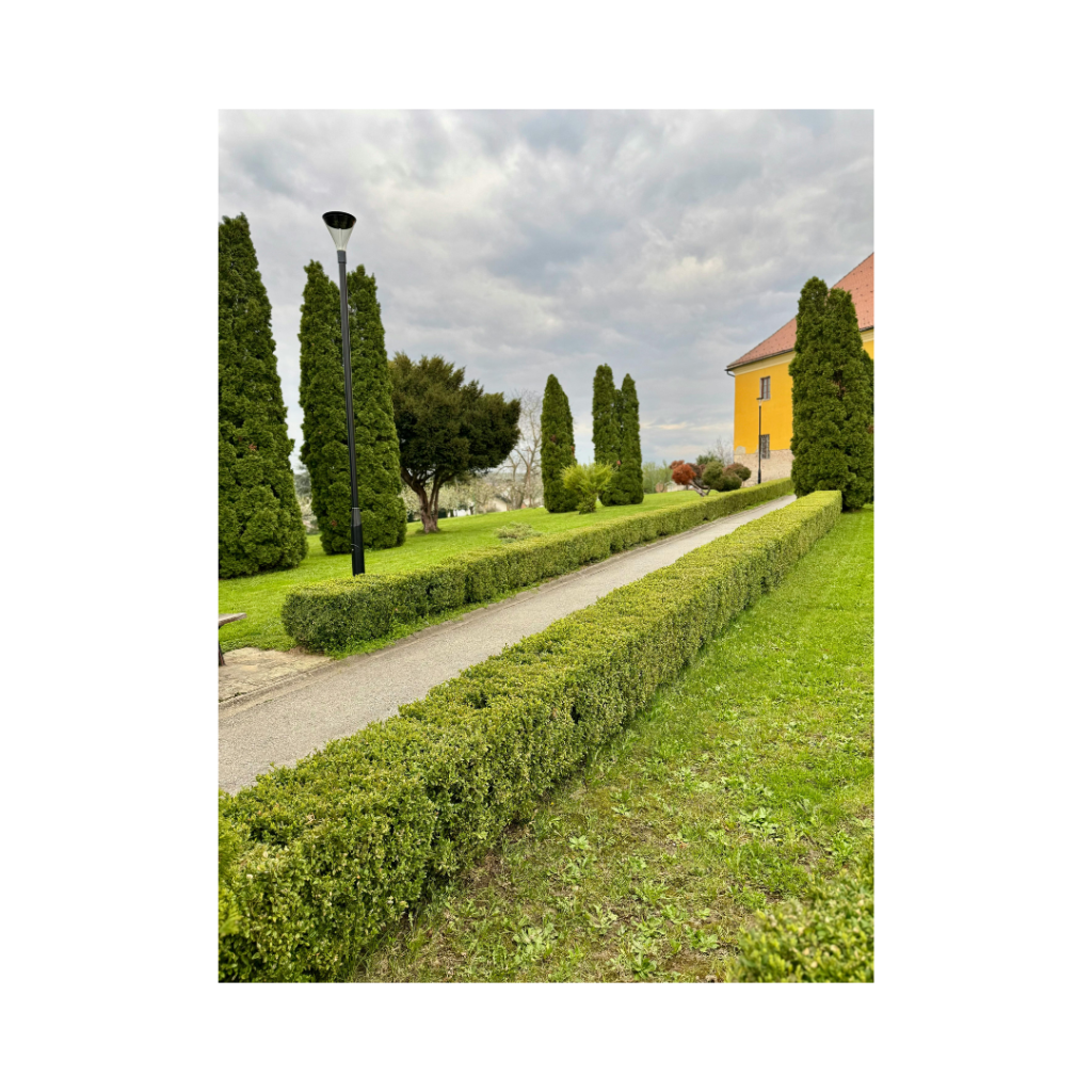 Entretien de massifs et plantations extérieures