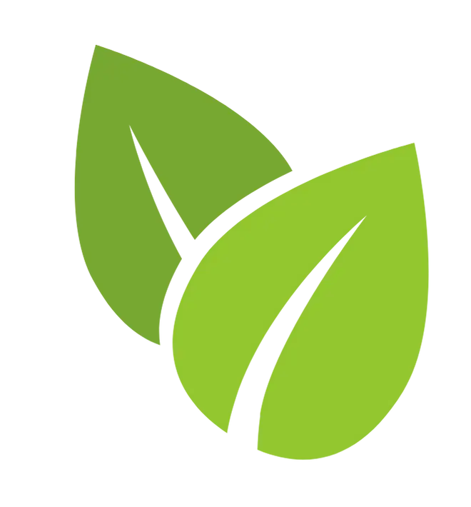 Aménagement et entretien de jardin par un professionnel paysagiste
